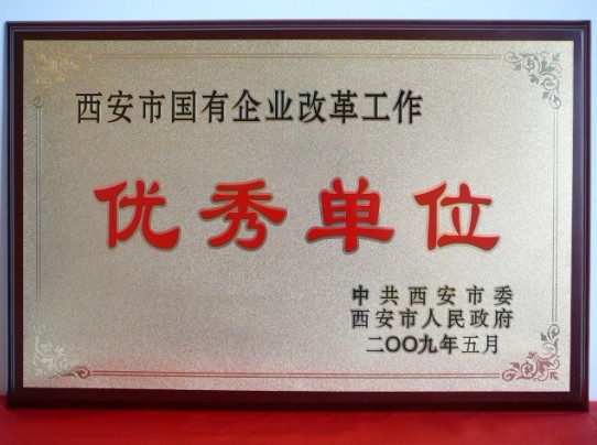 2009年5月，被西安市委、市政府評(píng)為西安市國(guó)企業(yè)改革工作優(yōu)秀單位