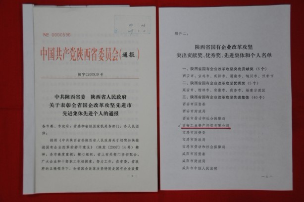 2009年2月，被陜西省委、省政府授予陜西省國(guó)有企業(yè)改革攻堅(jiān)先進(jìn)集體